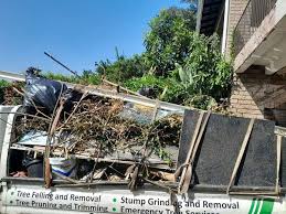 Professional Junk Removal Services in Lomita, CA